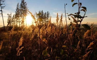 Kellemes őszi idő várható mindenszentekre