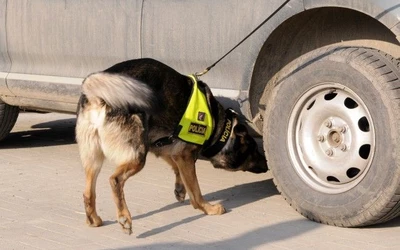 Több mint két tonna illegális dohányt rejtegettek egy komáromi raktárban