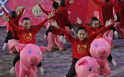 Szurkolók és rajongók a kínai újév tükrében