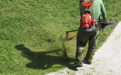 Domik szerint rengeteg dolog nehezíti a városi zöldövezet karbantartását 