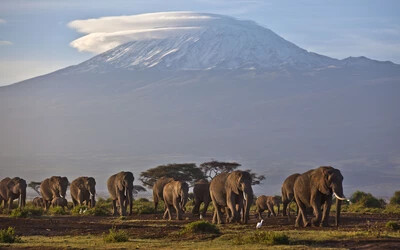 Kilimandzsáró