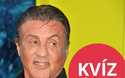 Stallone