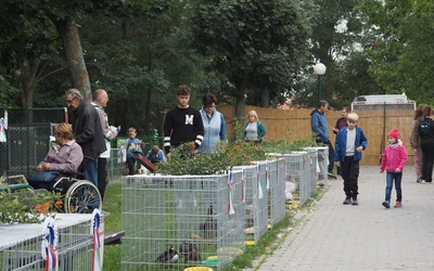 Idén több, mint ezer látogatója volt a kiállításnak. (A szerző felvétele)