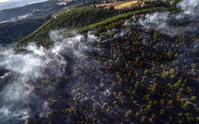 Törökország erdőtűz