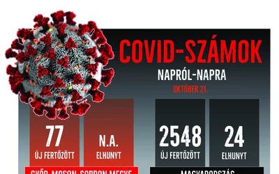 Egy nap alatt tíz százalékkal többen kerültek kórházba