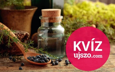 KVÍZ: Levendula, kakukkfű, kamilla – Felismered a gyógynövényeket?