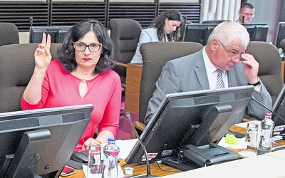 Martina Lubyová elfogadtatta a reform megvalósításának tervét