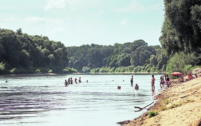 kistárkány tisza-part