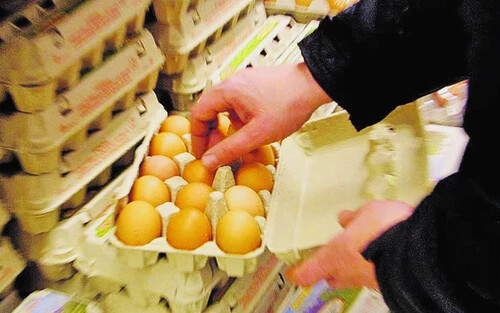 Fertőzött lehet a holland tojás