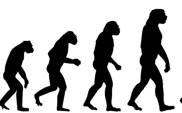 evolúció