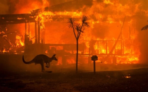 ausztrália tűz