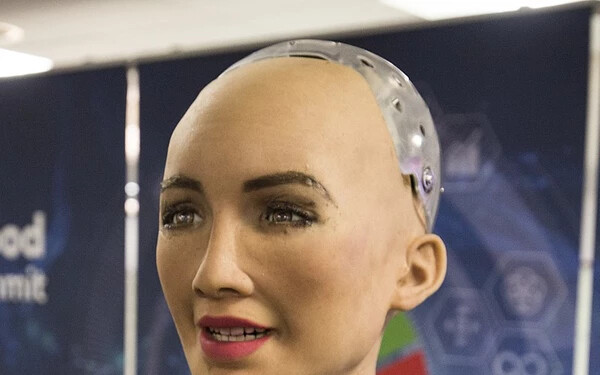 Sophia robot