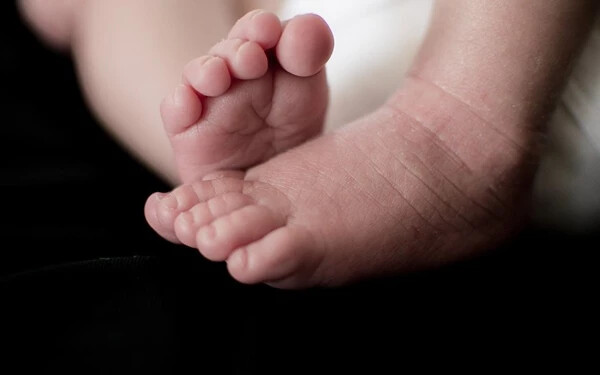 A PS/Spolu szerint vissza kellene vonni a terhességmegszakításról szóló törvényjavaslatot