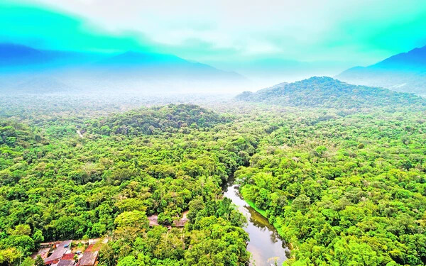 amazóia őserdő