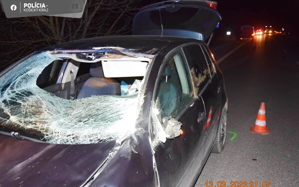 Szarvas ugrott az autó elé, a 33 éves sofőr súlyosan megsérült