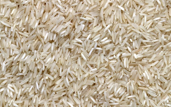 rizs k
