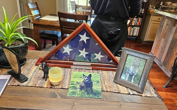 Az életmentő Ronja kutya tiszteletbeli helye az amerikai zászlóval