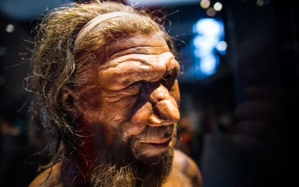 neandervölgyi