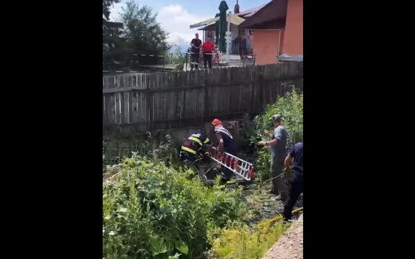 VIDEÓ: Szennyvízgödörbe zuhant egy medve – bocsát a fején tartva menekült meg