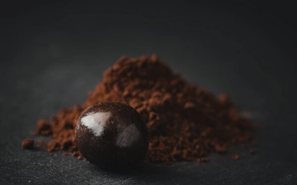 kakaopor