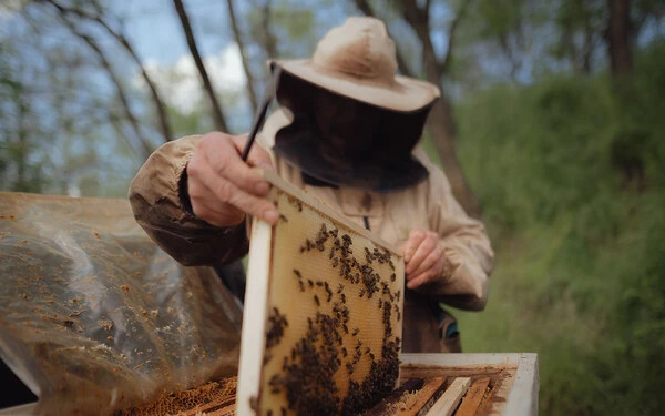 Az országban elsőként Kassának van saját városi méze 