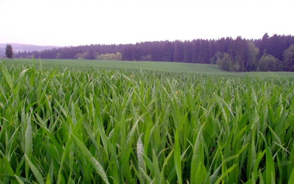 energen