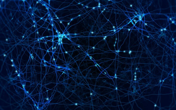 neuron