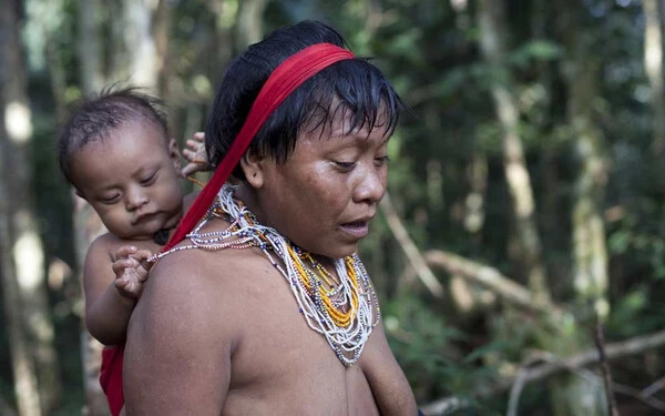 amazonas őslakos