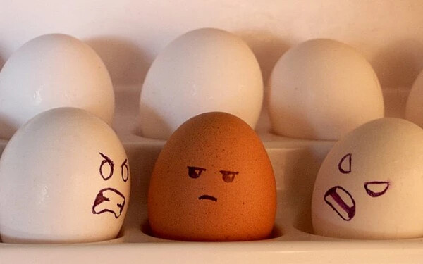 rasszista tojások
