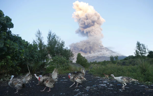 Mayon tűzhányó vulkán