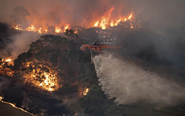 ausztrália erdőtűz