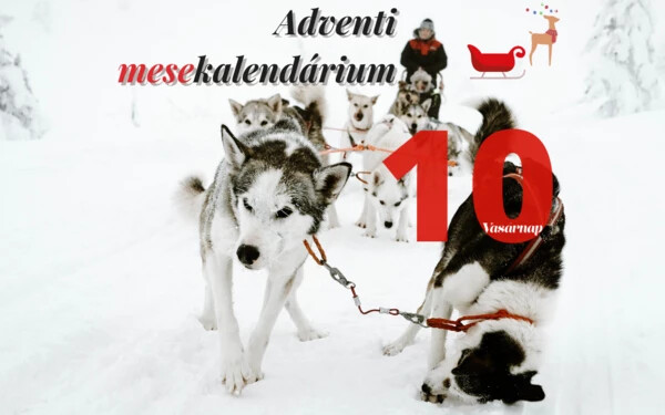Adventi mesekalendárium 10.: A jégbe fagyott kutyaszán