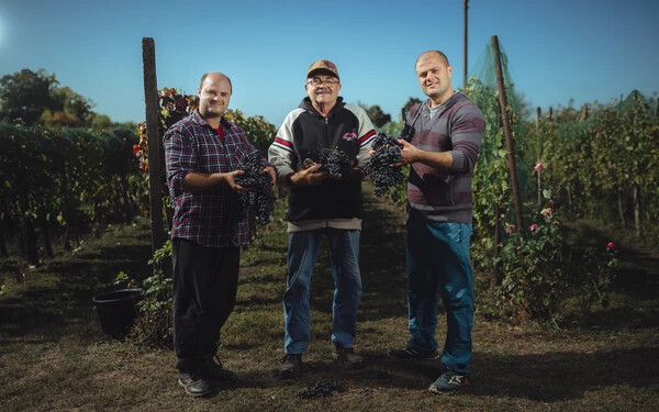 A dobrai borászok: ifj. Fedor Miklós (balra), Fedor Miklós és Fedor Róbert