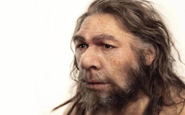 neandervölgyi ember