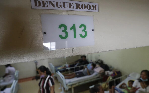 dengue-fertőzés