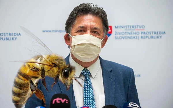 Ján Budaj méhecske