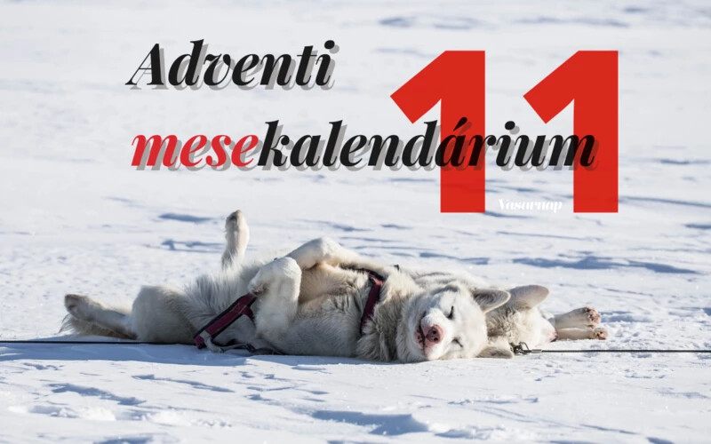 Adventi mesekalendárium 11.: A repülő kutyaszán