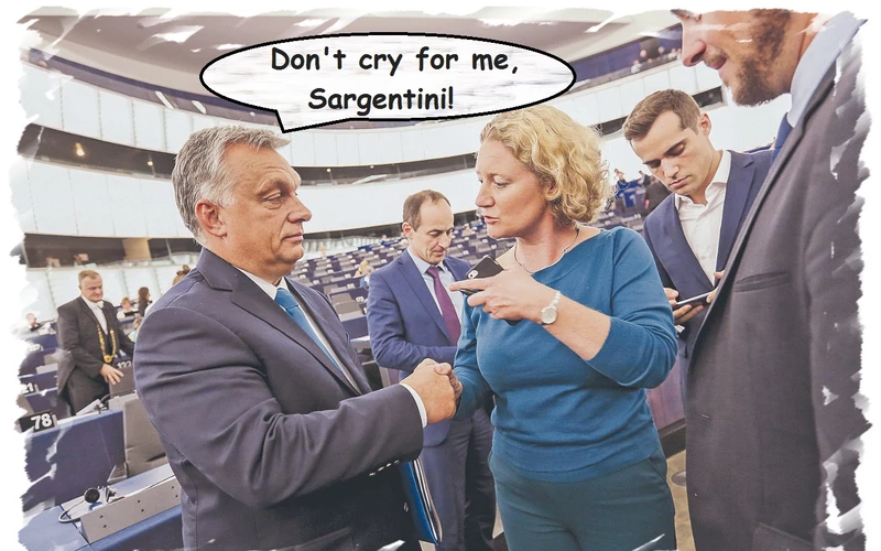 sargentini