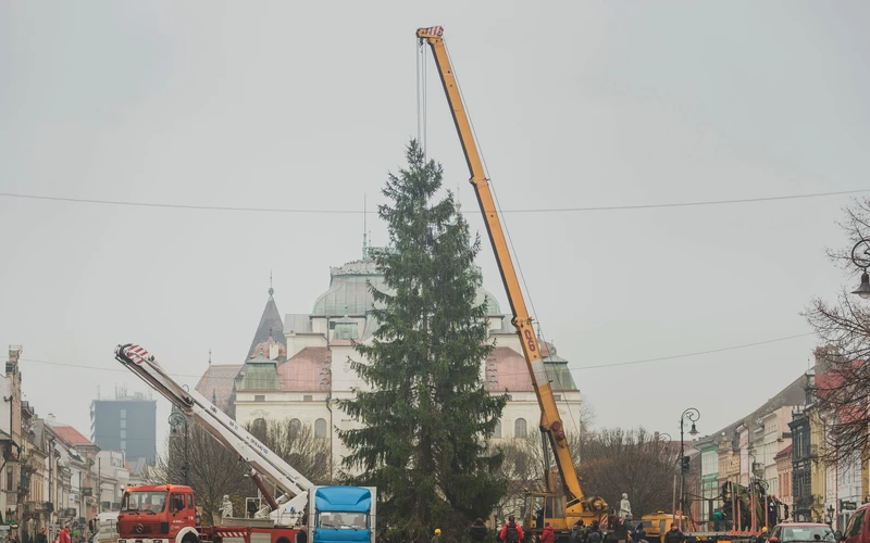 karácsonyfa kassa