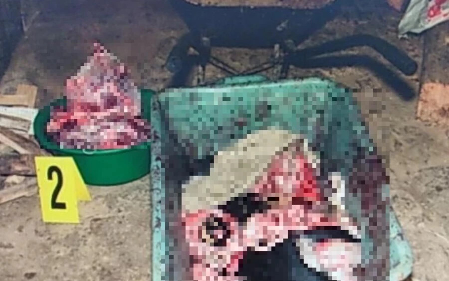 BORZALOM: Brutális módon végzett ki kutyákat, a húsukat feldolgozta a szlovákiai férfi