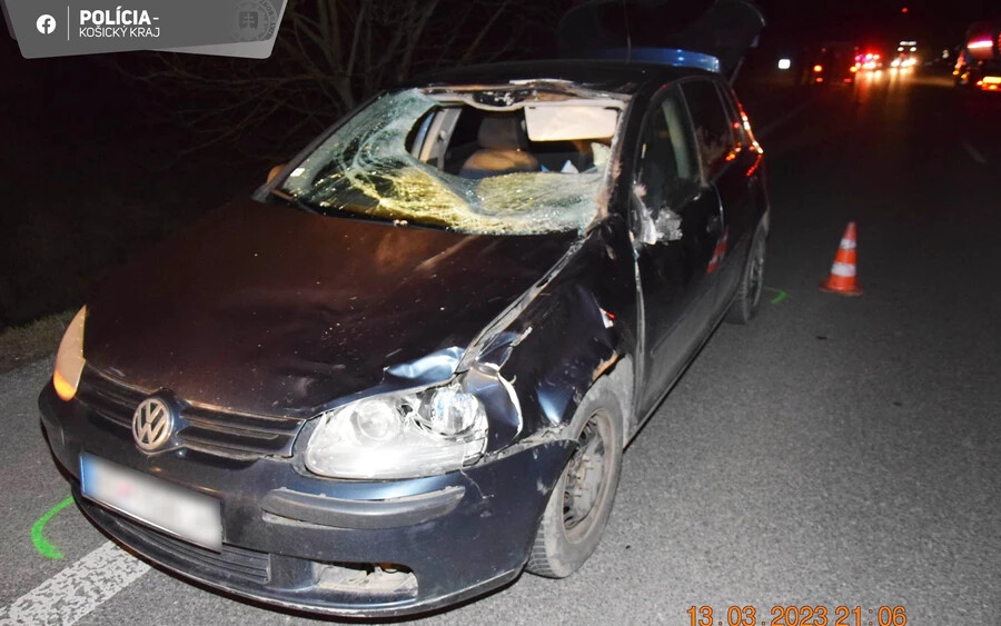 Szarvas ugrott az autó elé, a 33 éves sofőr súlyosan megsérült