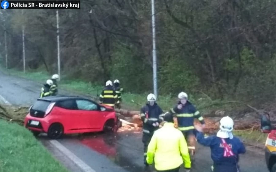 Ítéletidő – Fa zuhant egy autójában ülő nőre, fennakadásokat okozott az erős szél a fővárosban