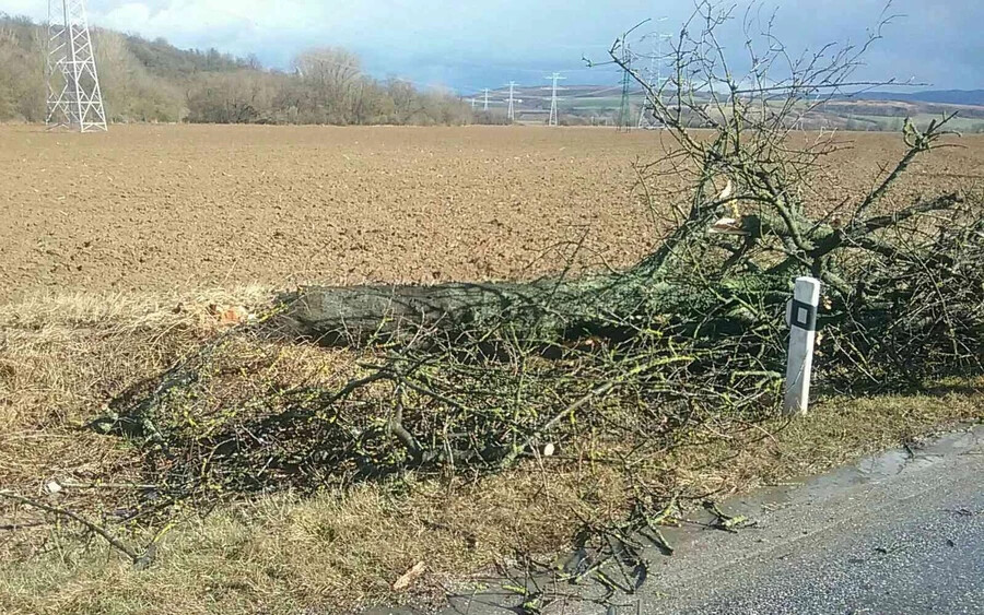 Már kilencven riasztást kaptak a tűzoltók a szélvihar miatt