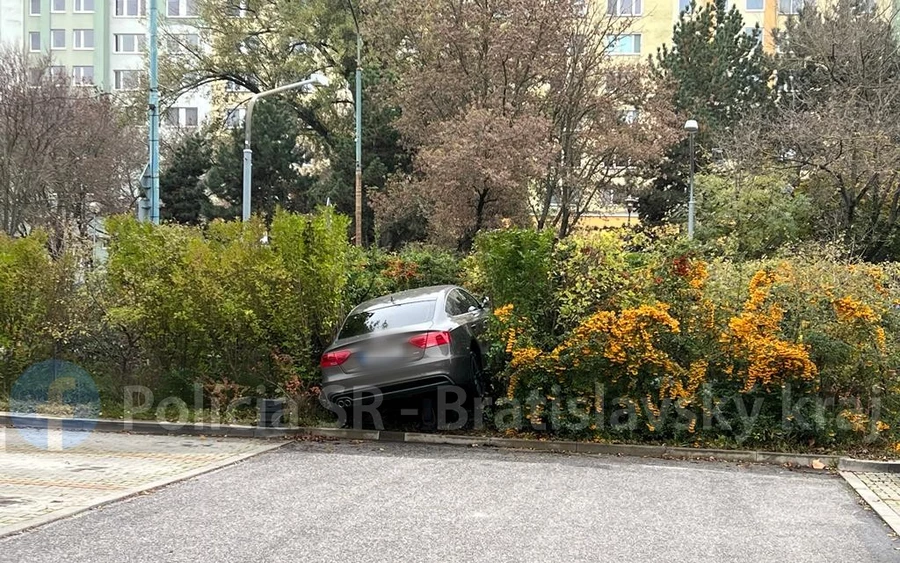 Gázvezetéknek hajtott egy Audit vezető nyugdíjas