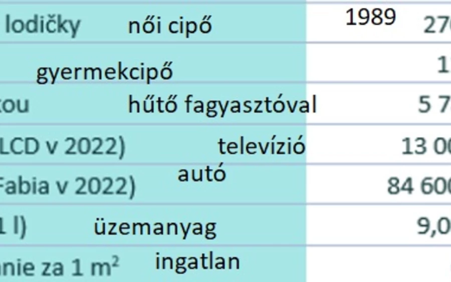 Sadovská továbbá hozzátette, hogy 1989 előtt szinte lehetetlen volt „munka nélkül maradni”, de a kilencvenes évek elején a munkanélküliségi ráta kétszámjegyűre ugrott. A szlovákiai polgároknál is magas volt a munkanélküliség a több mint egy évtizeddel ezelőtti gazdasági válság következtében.