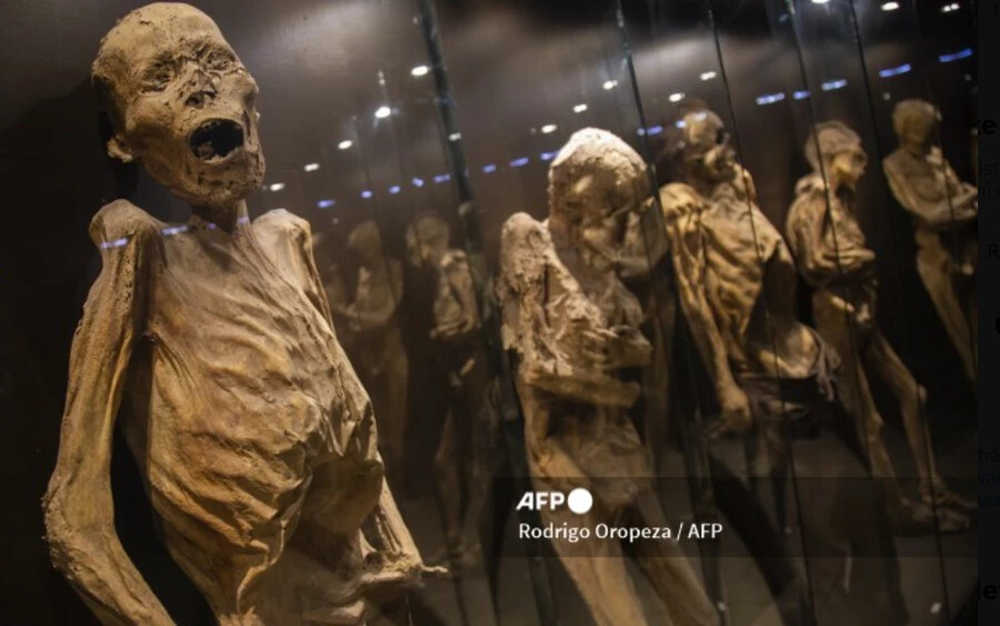 A Mexikói Nemzeti Antropológiai és Történeti Intézet rámutatott, hogy a mumifikálódott testek egyes részein valószínűleg penész jelent meg.