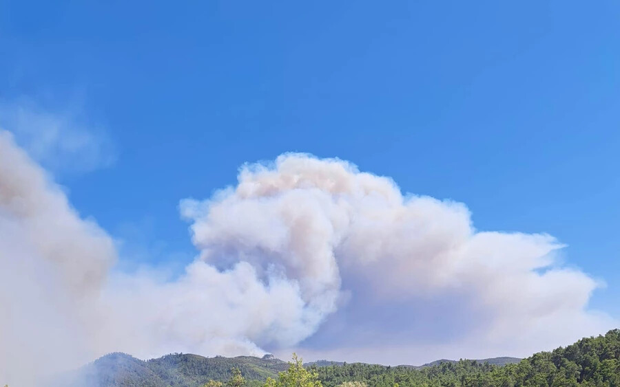 Szlovák tűzoltók küzdenek az erdőtűzzel Görögországban (FOTÓK)