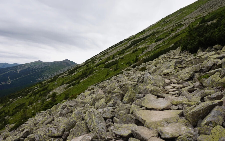 Kőmezős ösvény a Gyömbér oldalában (Vataščin Péter felvétele)