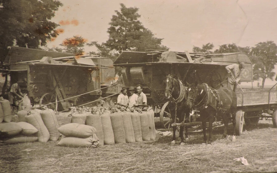 Az 1950-es években a gazdák közösen csépelték a gabonát