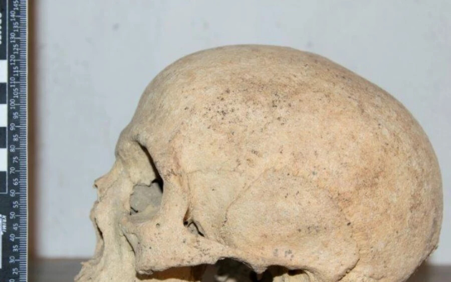 A DNS-elemzés azt is kimutatta, hogy genomjának körülbelül három százaléka neandervölgyi ősöktől származik. Bár a nő genetikájáról már sok mindent kiderítettek, az arcának valószínű fizikai formájára csak a múlt hónapban derült fény.